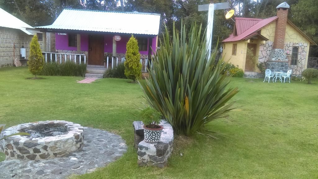 Willa Cabanas Cumbres De Aguacatitla Huasca de Ocampo Zewnętrze zdjęcie